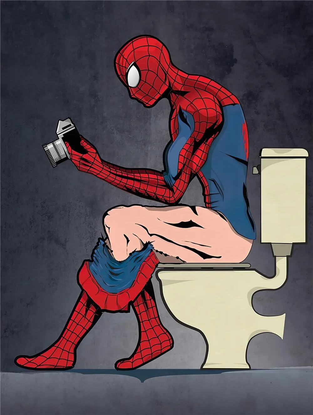 Quadro Homem-Aranha WC