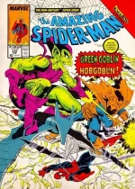 Quadro O Incrível Homem-Aranha 312