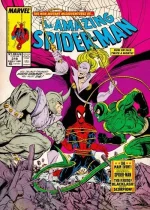 Quadro O incrível Homem-Aranha 319