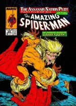 Quadro O Incrível Homem-Aranha 324