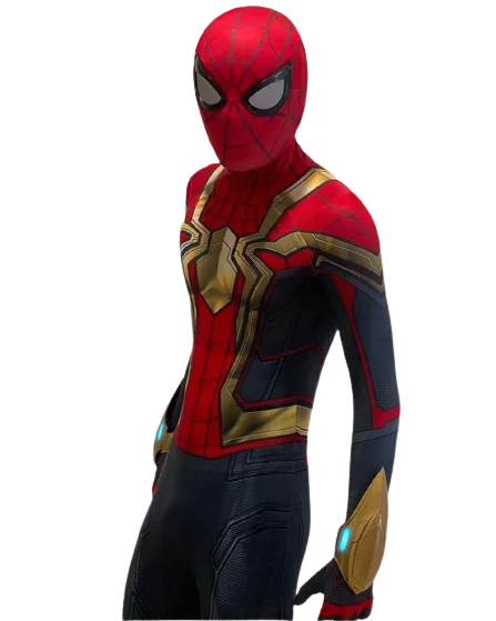 Fantasia Homem-Aranha Sem Volta Para Casa