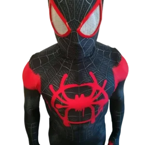 Fantasia Homem-Aranha Nova Geração