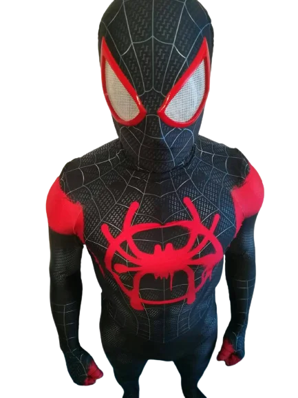 Fantasia Homem-Aranha Nova Geração