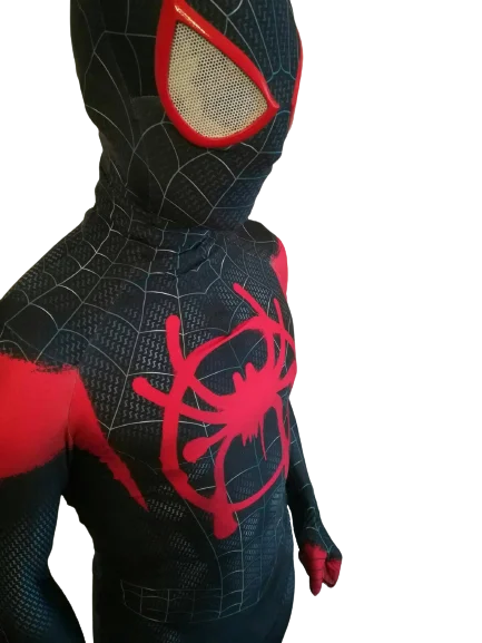 Fantasia Homem-Aranha Nova Geração