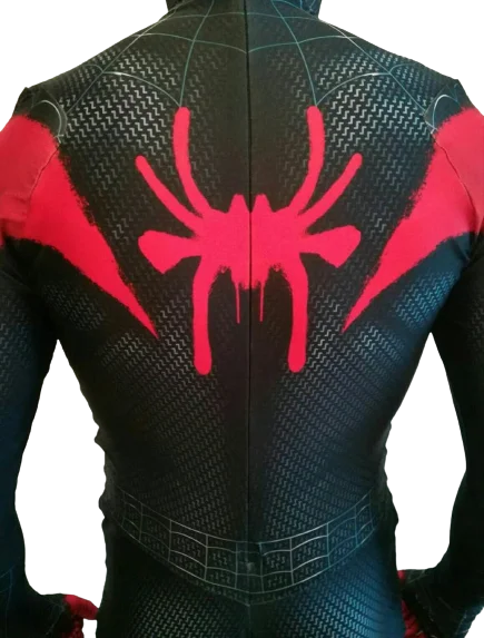 Fantasia Homem-Aranha Nova Geração